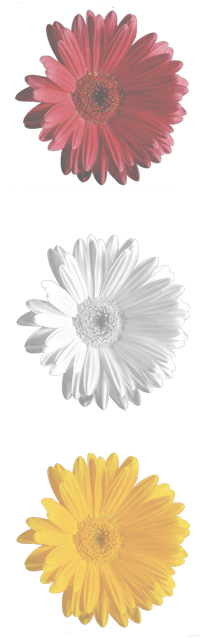Blumen